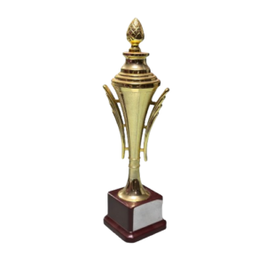 Awards & Recognitions